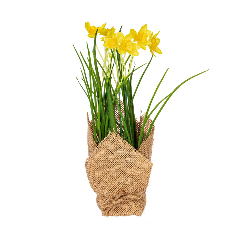 Vickerman Artificial Yellow Daffodil in Burlap Pot, Set of 2